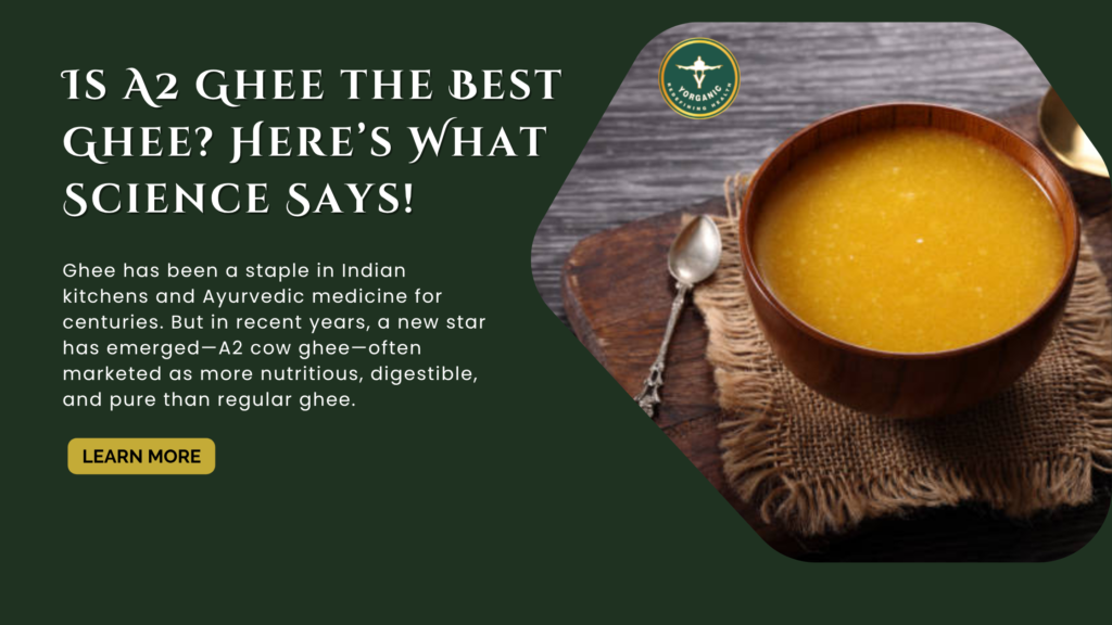 Is A2 Ghee the Best Ghee? Here’s What Science Says!